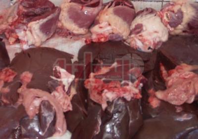 دام برس : اعدام 37 طن لحوم فاسدة مليئة بالفئران في الوراق