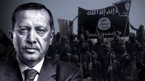 دام برس : هل يحقق داعش حلم أردوغان في عين العرب ؟