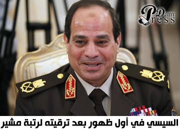 دام برس : عودة رجال أعمال مبارك لحكم مصر برعاية المشير السيسى