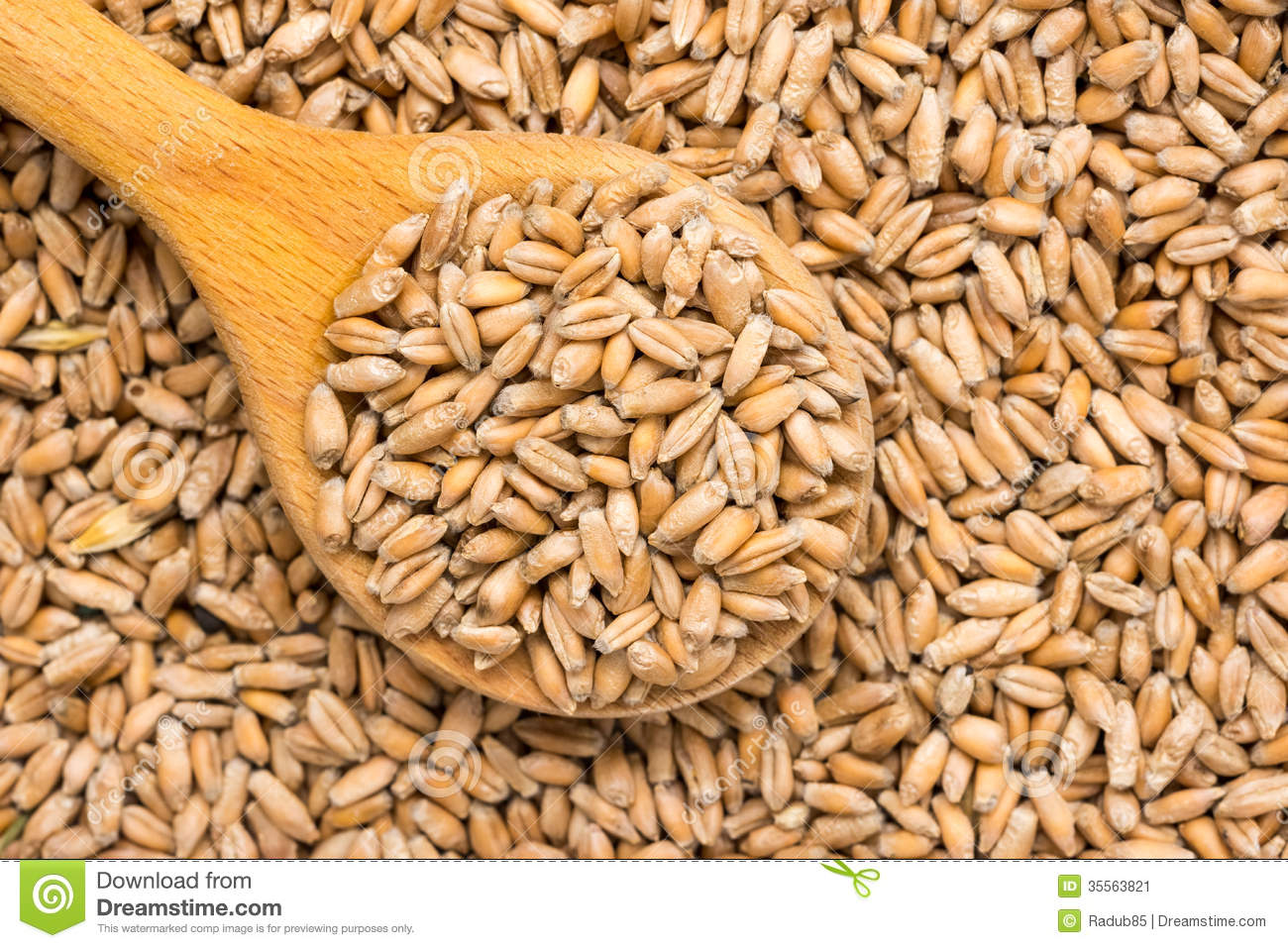دام برس : دام برس | الحكومة ترصد 3 آلاف مليار ليرة سورية لتسديد ثمن القمح.. وحتى الآن تم استلام 770 ألف طن